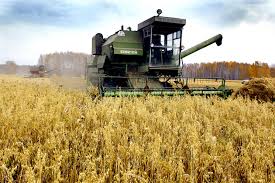 Депутаты предлагают изменить порядок сельхозстрахования в Украине. Что будет с государственной поддержкой агрострахования?