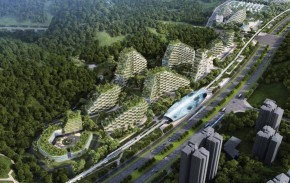 В Китае строят город-лес