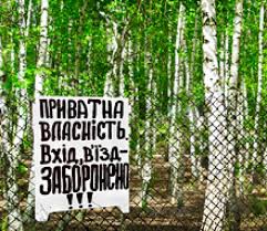 Приватизация идет лесом