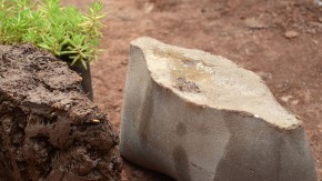 Ученые придумали как делать кирпичи из растений и древесного угля
