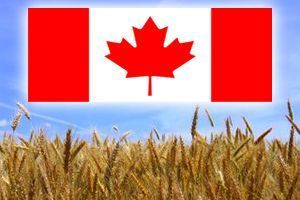 Украина хочет расширить экспорт аграрной продукции в Канаду