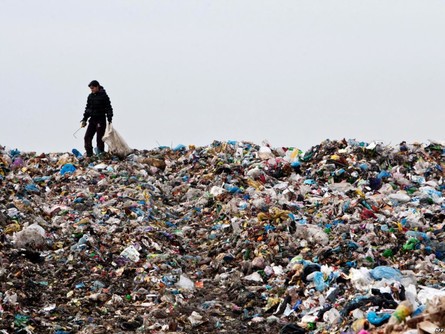 Более половины бытовых отходов в Украине оказываются на стихийных свалках – эколог