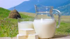Молочные кооперативы в Украине выгодны