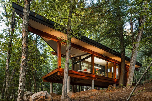 Появилась новая архитектурная мода – офисы в лесу