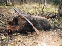 В Украине увеличат штрафы за браконьерство