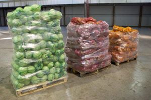 В Украине начался сезонный обвал цен на овощи