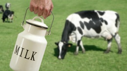 Переработчики снижают закупочные цены на молоко из-за низкого спроса на молочку