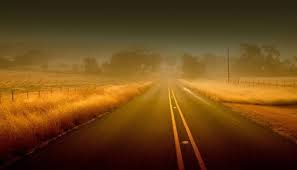 Особенности управления автомобилем в тумане