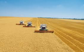 Вероятная модель развития страхования в аграрном секторе экономики Украины