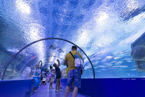 В США построят гигантский аквариум