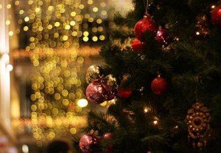 В этом году новогодняя елка стоит от 60 до 150 гривен
