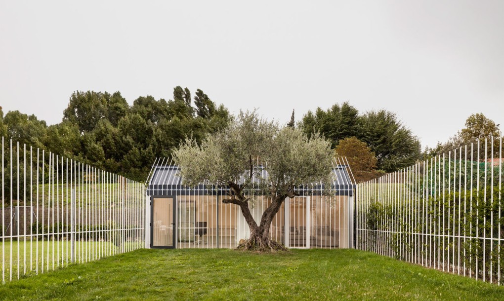 Дом для человека и дерева в Испании