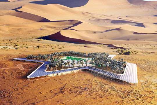 Самый зеленый в мире курорт построят в оазисе
