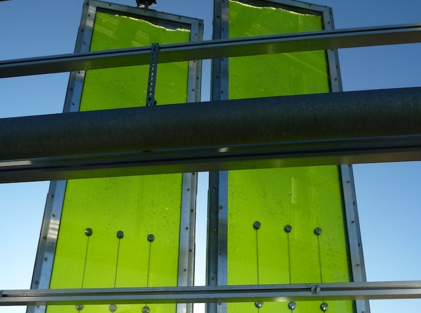 В Германии построили дом из водорослей