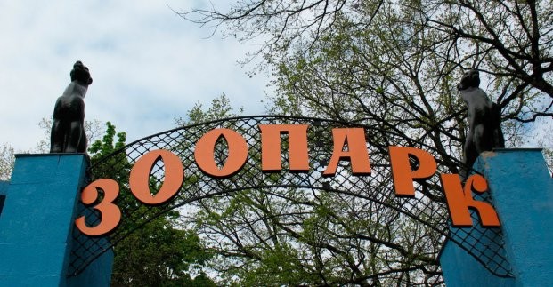 Проект реконструкции Харьковского зоопарка представят в Европе
