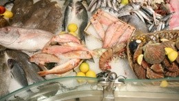 Сколько рыбы экспортирует Украина