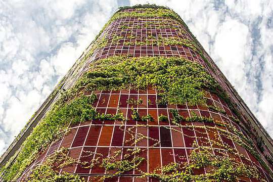 Покрытый растениями небоскреб может стать тропическим зданием будущего